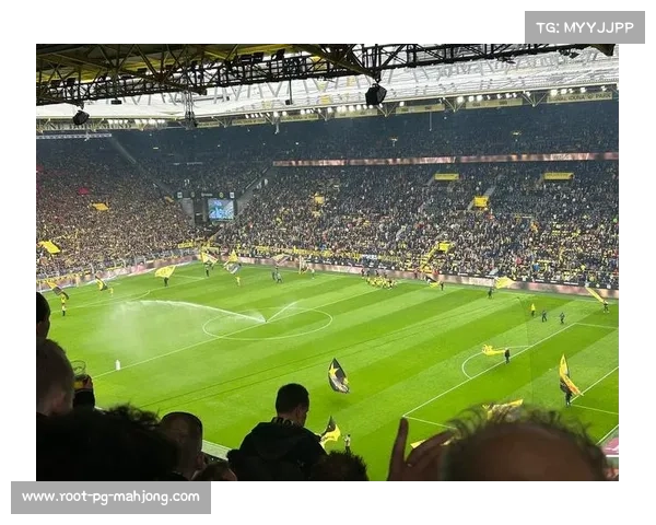 AI助力德甲观赛体验,专业解说与数据分析全面优化足球观看效果